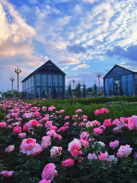 36a7e958-d252-40c8-941e-fb698b652ea5